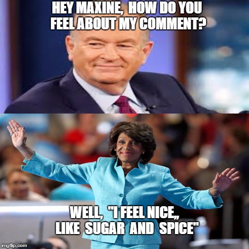 O'Reilly Watters | HEY MAXINE,  HOW DO YOU FEEL ABOUT MY COMMENT? WELL,  "I FEEL NICE,,  LIKE  SUGAR  AND  SPICE" | image tagged in james brown,meme | made w/ Imgflip meme maker