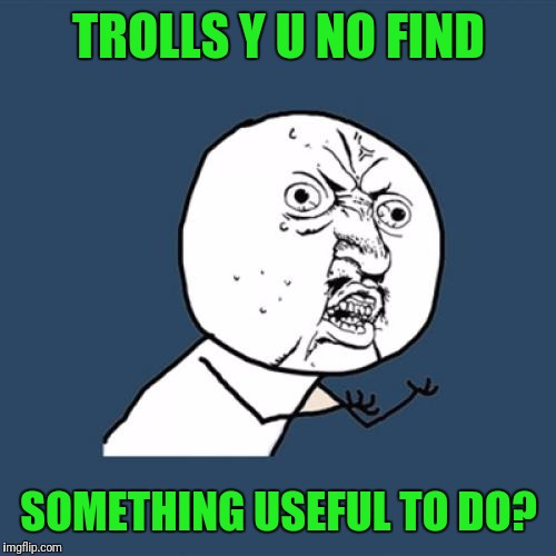 Y U No Meme | TROLLS Y U NO FIND SOMETHING USEFUL TO DO? | image tagged in memes,y u no | made w/ Imgflip meme maker