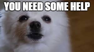 Gabe the dog | YOU NEED SOME HELP | image tagged in gabe the dog | made w/ Imgflip meme maker