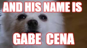 Gabe the dog | AND HIS NAME IS; GABE 
CENA | image tagged in gabe the dog | made w/ Imgflip meme maker