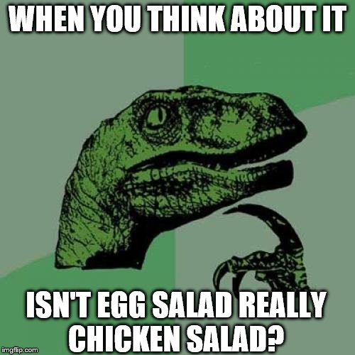 Philosoraptor | WHEN YOU THINK ABOUT IT; ISN'T EGG SALAD REALLY CHICKEN SALAD? | image tagged in memes,philosoraptor | made w/ Imgflip meme maker