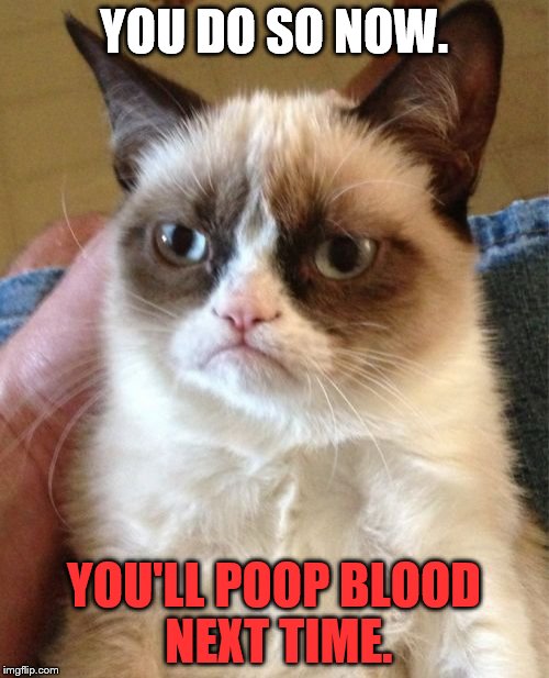 Grumpy Cat Meme | YOU DO SO NOW. YOU'LL POOP BLOOD NEXT TIME. | image tagged in memes,grumpy cat | made w/ Imgflip meme maker