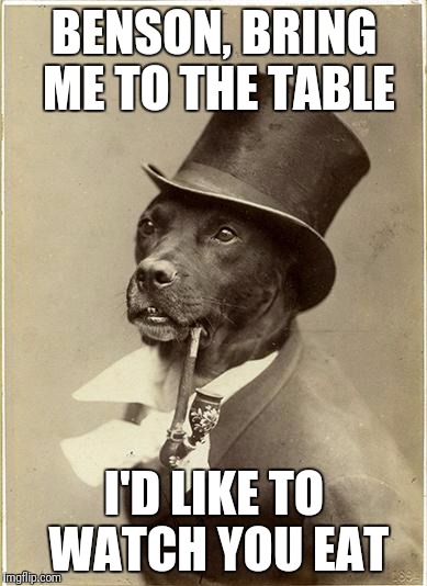 Old Money Dog | BENSON, BRING ME TO THE TABLE; I'D LIKE TO WATCH YOU EAT | image tagged in old money dog | made w/ Imgflip meme maker