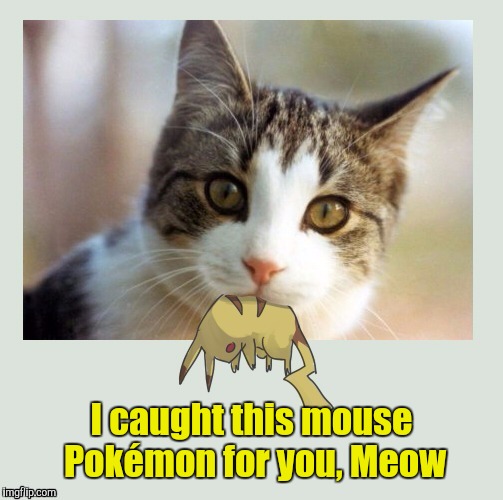 I caught this mouse Pokémon for you, Meow | made w/ Imgflip meme maker