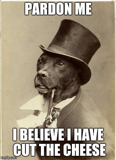 Old Money Dog | PARDON ME; I BELIEVE I HAVE CUT THE CHEESE | image tagged in old money dog | made w/ Imgflip meme maker