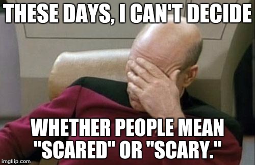 What happened to the word "grammer"? | THESE DAYS, I CAN'T DECIDE; WHETHER PEOPLE MEAN "SCARED" OR "SCARY." | image tagged in memes,captain picard facepalm,grammer | made w/ Imgflip meme maker