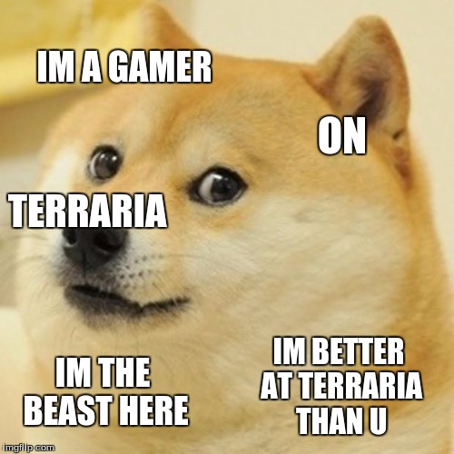 Doge | IM A GAMER; ON; TERRARIA; IM BETTER AT TERRARIA THAN U; IM THE BEAST HERE | image tagged in memes,doge | made w/ Imgflip meme maker