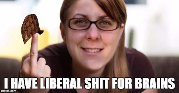 I HAVE LIBERAL SHIT FOR BRAINS | image tagged in sfb,scumbag | made w/ Imgflip meme maker