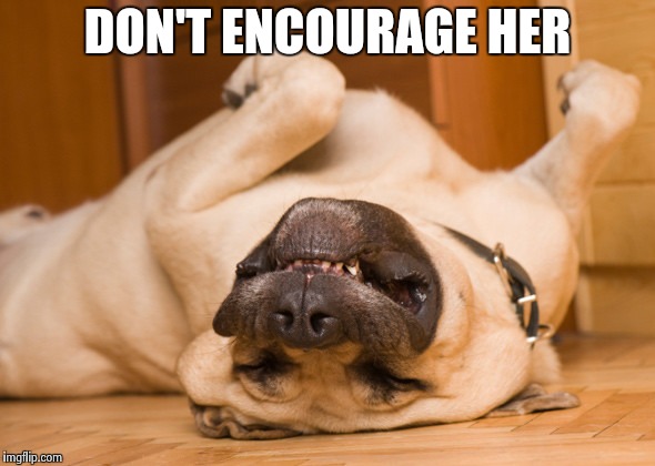 Sleeping dog | DON'T ENCOURAGE HER | image tagged in sleeping dog | made w/ Imgflip meme maker