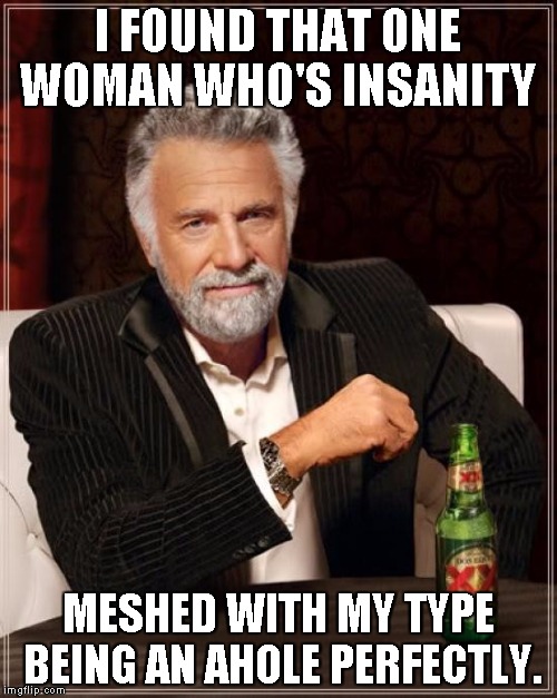 The Most Interesting Man In The World Meme | I FOUND THAT ONE WOMAN WHO'S INSANITY MESHED WITH MY TYPE BEING AN AHOLE PERFECTLY. | image tagged in memes,the most interesting man in the world | made w/ Imgflip meme maker