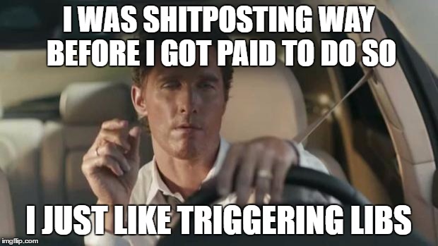 matthew mcconaughey  | I WAS SHITPOSTING WAY BEFORE I GOT PAID TO DO SO; I JUST LIKE TRIGGERING LIBS | image tagged in matthew mcconaughey | made w/ Imgflip meme maker