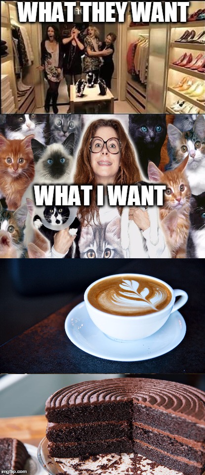 The 3 C's | WHAT THEY WANT; WHAT I WANT | image tagged in cats,chocolate,coffee | made w/ Imgflip meme maker