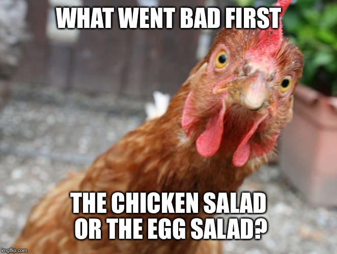 WHAT WENT BAD FIRST THE CHICKEN SALAD OR THE EGG SALAD? | made w/ Imgflip meme maker