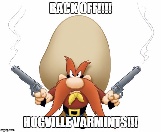 Yosemite Sam | BACK OFF!!!! HOGVILLE VARMINTS!!! | image tagged in yosemite sam | made w/ Imgflip meme maker
