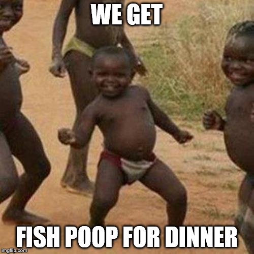 Third World Success Kid Meme | WE GET FISH POOP FOR DINNER | image tagged in memes,third world success kid | made w/ Imgflip meme maker
