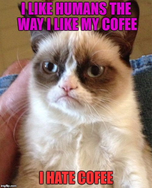 Grumpy Cat Meme | I LIKE HUMANS THE WAY I LIKE MY COFEE; I HATE COFEE | image tagged in memes,grumpy cat | made w/ Imgflip meme maker
