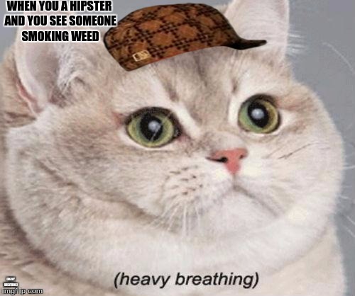 Heavy Breathing Cat | WHEN YOU A HIPSTER AND YOU SEE SOMEONE SMOKING WEED; (HEAVY BREATHING) | image tagged in heavy breathing cat,scumbag | made w/ Imgflip meme maker