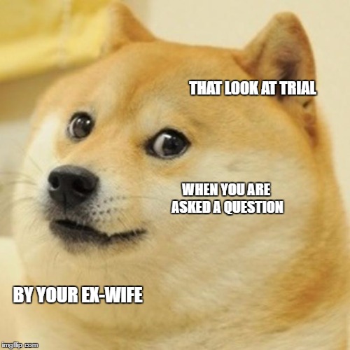 Doge | THAT LOOK AT TRIAL; WHEN YOU ARE ASKED A QUESTION; BY YOUR EX-WIFE | image tagged in memes,doge | made w/ Imgflip meme maker