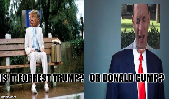 retards of america | OR DONALD GUMP? IS IT FORREST TRUMP? | image tagged in donald trump,forrest gump,memes | made w/ Imgflip meme maker