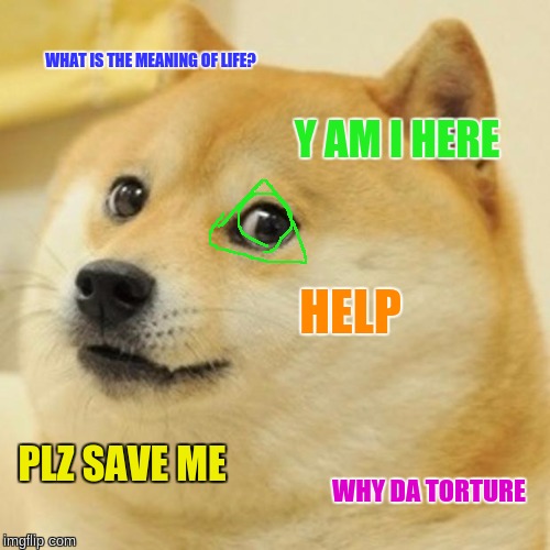 Doge Meme | WHAT IS THE MEANING OF LIFE? Y AM I HERE; HELP; PLZ SAVE ME; WHY DA TORTURE | image tagged in memes,doge | made w/ Imgflip meme maker