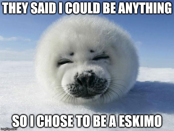 Seal Of Approval | THEY SAID I COULD BE ANYTHING; SO I CHOSE TO BE A ESKIMO | image tagged in seal of approval | made w/ Imgflip meme maker