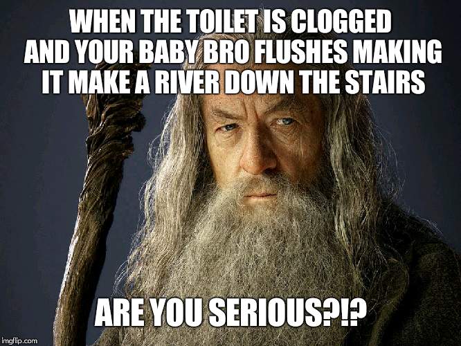 Are you serious? Gandalf | WHEN THE TOILET IS CLOGGED AND YOUR BABY BRO FLUSHES MAKING IT MAKE A RIVER DOWN THE STAIRS; ARE YOU SERIOUS?!? | image tagged in are you serious gandalf | made w/ Imgflip meme maker
