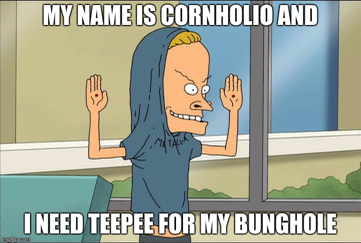 cornholio | MY NAME IS CORNHOLIO AND; I NEED TEEPEE FOR MY BUNGHOLE | image tagged in funny memes,beavis cornholio,too funny,funny,cartoon,beavis-and-butthead | made w/ Imgflip meme maker