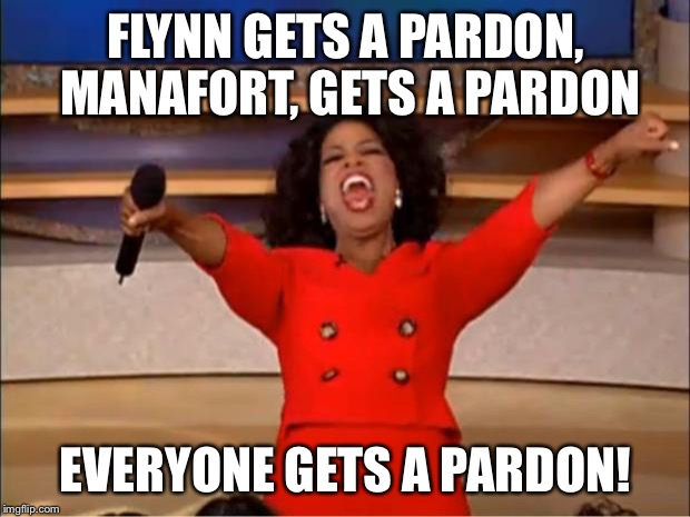 Oprah You Get A Meme | FLYNN GETS A PARDON, MANAFORT, GETS A PARDON; EVERYONE GETS A PARDON! | image tagged in memes,oprah you get a | made w/ Imgflip meme maker