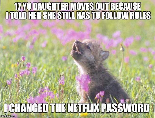 Baby Insanity Wolf Meme | 17 YO DAUGHTER MOVES OUT BECAUSE I TOLD HER SHE STILL HAS TO FOLLOW RULES; I CHANGED THE NETFLIX PASSWORD | image tagged in memes,baby insanity wolf | made w/ Imgflip meme maker