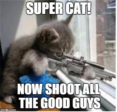 cats with guns | SUPER CAT! NOW SHOOT ALL THE GOOD GUYS | image tagged in cats with guns | made w/ Imgflip meme maker