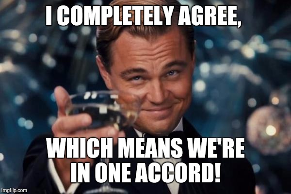 I COMPLETELY AGREE, WHICH MEANS WE'RE IN ONE ACCORD! | image tagged in memes,leonardo dicaprio cheers | made w/ Imgflip meme maker