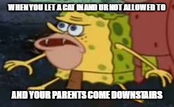 Spongegar | WHEN YOU LET A CAT IN AND UR NOT ALLOWED TO; AND YOUR PARENTS COME DOWNSTAIRS | image tagged in memes,spongegar | made w/ Imgflip meme maker