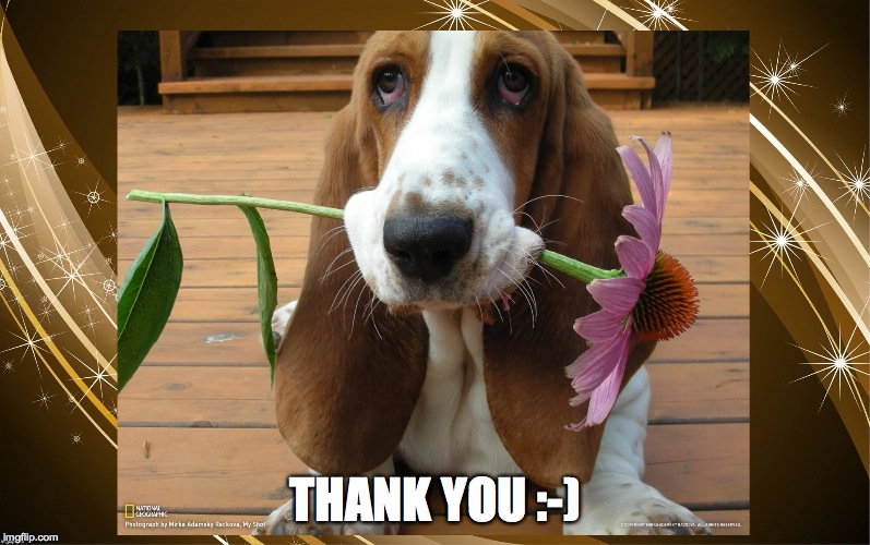 THANK YOU :-) | made w/ Imgflip meme maker