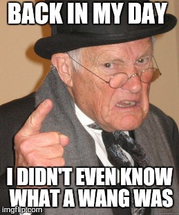 Back In My Day Meme | BACK IN MY DAY I DIDN'T EVEN KNOW WHAT A WANG WAS | image tagged in memes,back in my day | made w/ Imgflip meme maker