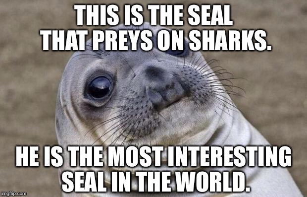 Most Interesting Seal Preys On Sharks | THIS IS THE SEAL THAT PREYS ON SHARKS. HE IS THE MOST INTERESTING SEAL IN THE WORLD. | image tagged in memes,awkward moment sealion,the most interesting man in the world,sharks | made w/ Imgflip meme maker