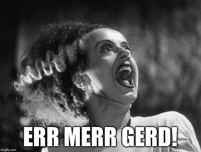 The Bride of Frankenstein | ERR MERR GERD! | image tagged in the bride of frankenstein | made w/ Imgflip meme maker