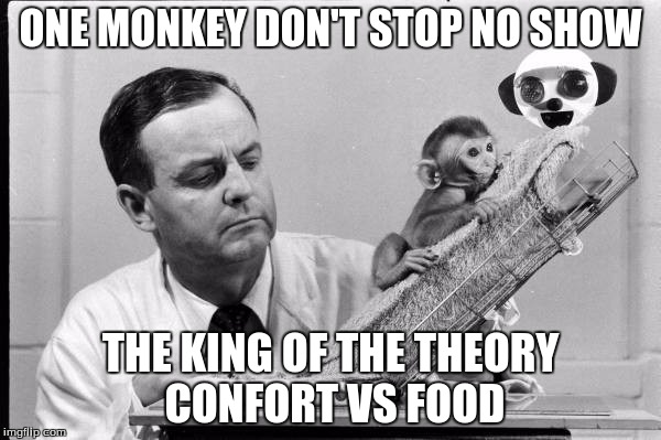 ONE MONKEY DON'T STOP NO SHOW; THE KING OF THE THEORY CONFORT VS FOOD | image tagged in harlow | made w/ Imgflip meme maker