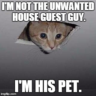 Ceiling Cat | I'M NOT THE UNWANTED HOUSE GUEST GUY. I'M HIS PET. | image tagged in memes,ceiling cat | made w/ Imgflip meme maker