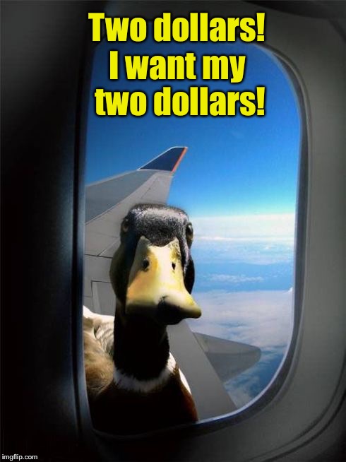 Better Off Dead | I want my two dollars! Two dollars! | image tagged in let me in duck | made w/ Imgflip meme maker
