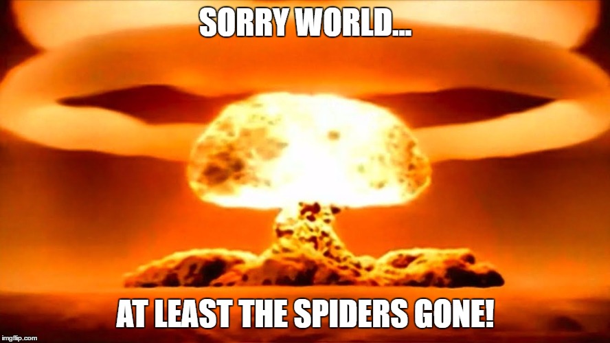 Nuke | SORRY WORLD... AT LEAST THE SPIDERS GONE! | image tagged in nuke | made w/ Imgflip meme maker