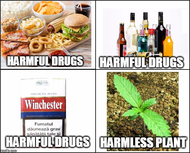 All they care about is Money.. | HARMFUL DRUGS; HARMFUL DRUGS; HARMLESS PLANT; HARMFUL DRUGS | image tagged in smoke the collie weed | made w/ Imgflip meme maker