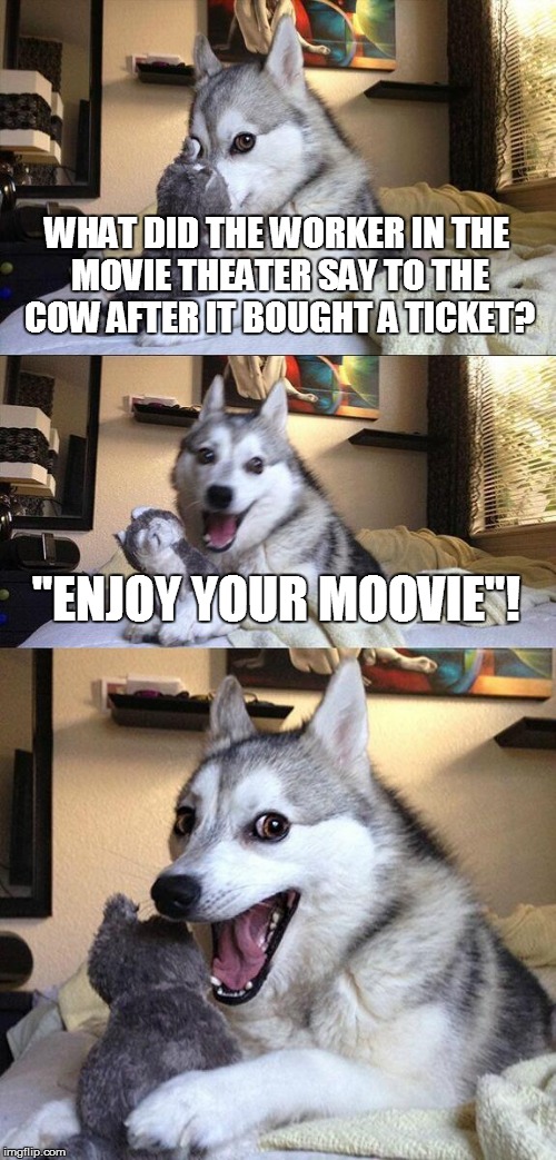 Cow loves Moovies... Dear RayDog.., | WHAT DID THE WORKER IN THE MOVIE THEATER SAY TO THE COW AFTER IT BOUGHT A TICKET? "ENJOY YOUR MOOVIE"! | image tagged in memes,bad pun dog,cows,puns,raydog | made w/ Imgflip meme maker