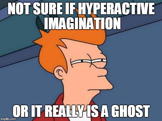 Me Every Time After Watching A Horror Movie Or Reading A Ghost Story | NOT SURE IF HYPERACTIVE IMAGINATION; OR IT REALLY IS A GHOST | image tagged in memes,futurama fry | made w/ Imgflip meme maker