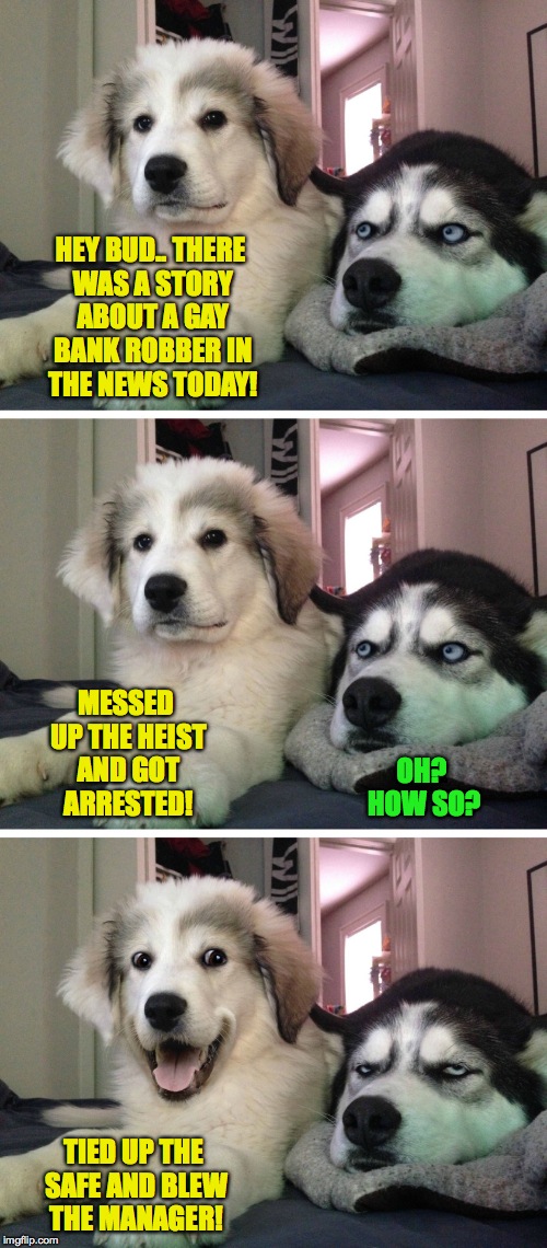 In The News Doggies | HEY BUD.. THERE WAS A STORY ABOUT A GAY BANK ROBBER IN THE NEWS TODAY! MESSED UP THE HEIST AND GOT ARRESTED! OH? HOW SO? TIED UP THE SAFE AND BLEW THE MANAGER! | image tagged in bad pun dogs | made w/ Imgflip meme maker