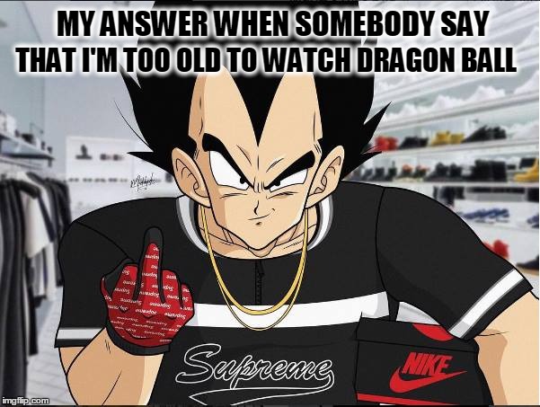 Vegeta  | MY ANSWER WHEN SOMEBODY SAY; THAT I'M TOO OLD TO WATCH DRAGON
BALL | image tagged in vegeta,dragonball,anime,fuck you,dbz | made w/ Imgflip meme maker