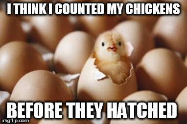 counting chickens  | I THINK I COUNTED MY CHICKENS; BEFORE THEY HATCHED | image tagged in hatchling | made w/ Imgflip meme maker