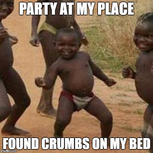 Third World Success Kid Meme | PARTY AT MY PLACE; FOUND CRUMBS ON MY BED | image tagged in memes,third world success kid | made w/ Imgflip meme maker