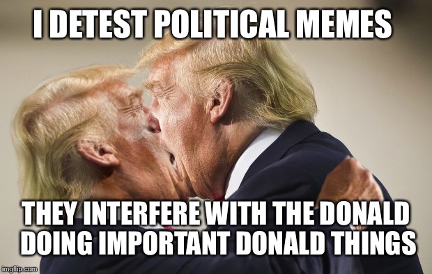 I DETEST POLITICAL MEMES THEY INTERFERE WITH THE DONALD DOING IMPORTANT DONALD THINGS | made w/ Imgflip meme maker