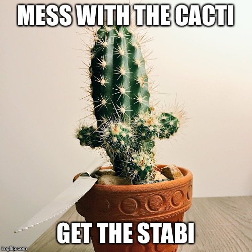 MESS WITH THE CACTI; GET THE STABI | image tagged in mess with the | made w/ Imgflip meme maker