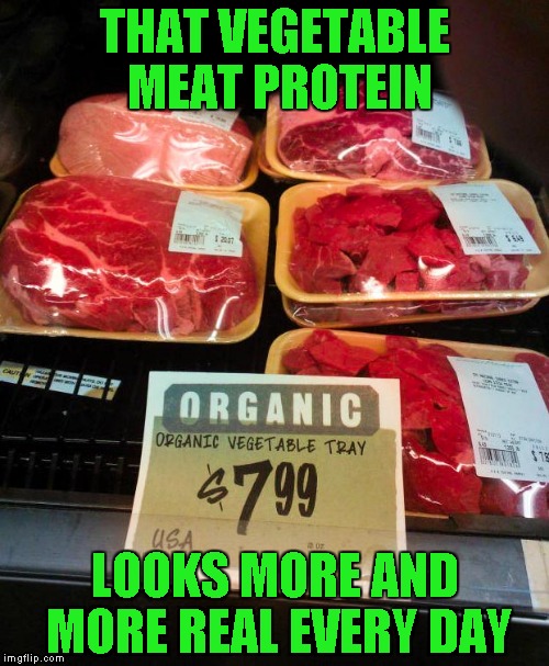 That's my kind of vegetarian diet right there!!! | THAT VEGETABLE MEAT PROTEIN; LOOKS MORE AND MORE REAL EVERY DAY | image tagged in vegan meat,memes,funny signs,signs,funny,carnivores | made w/ Imgflip meme maker